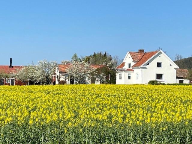 Boende I Uppgraenna Med Panoramautsikt Daire Dış mekan fotoğraf